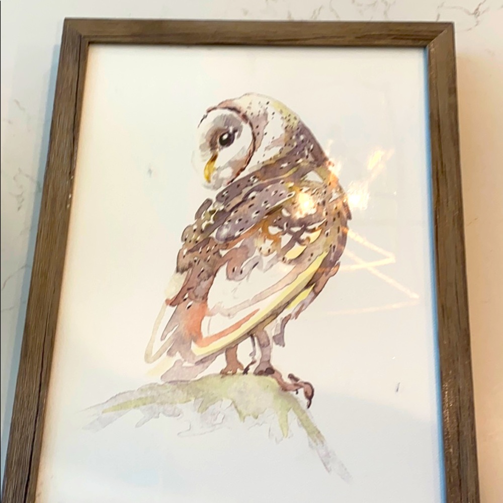 owl painting